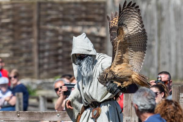 中世纪主题猛禽表演(123RF)