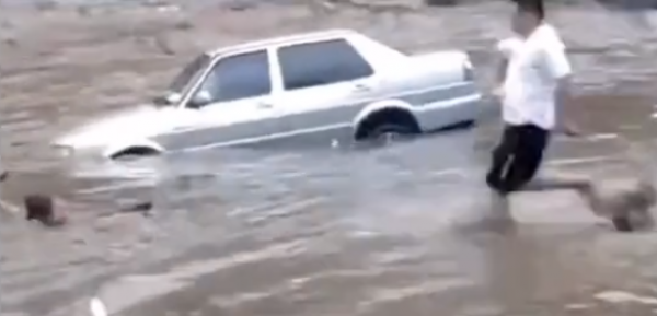 图片来源:视频截图