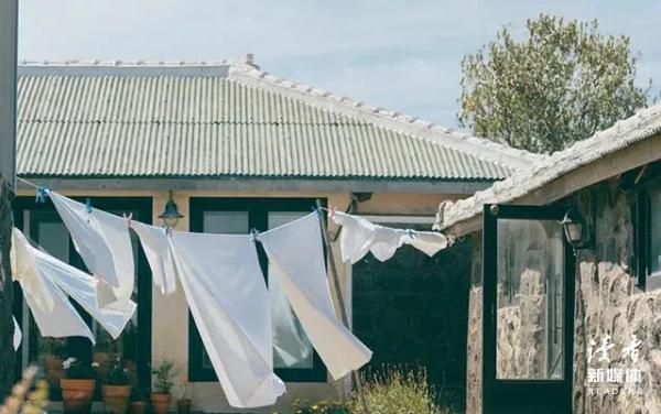 (图片来源:读者)