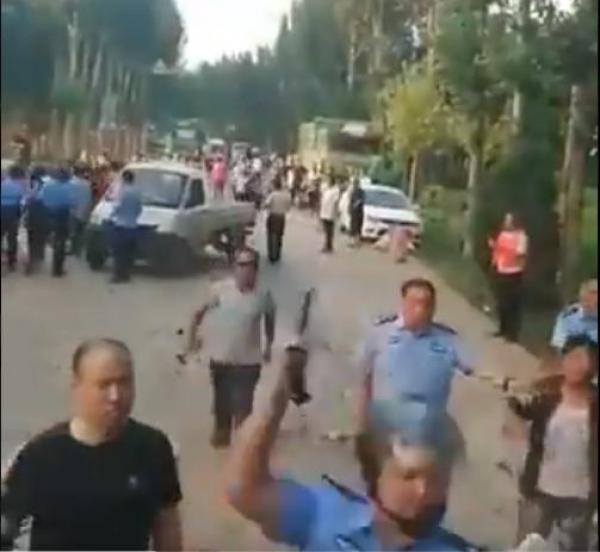 图片来源:视频截图