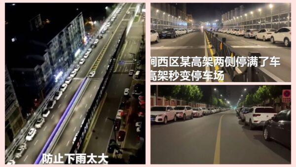 8月21日,在郑州、洛阳等地,高架桥变成停车场,大量私家车停在高架桥上避险,蔓延数公里。(视频截图)