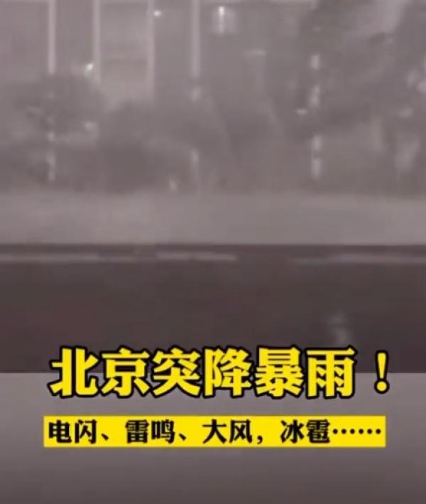 图片来源:视频截图