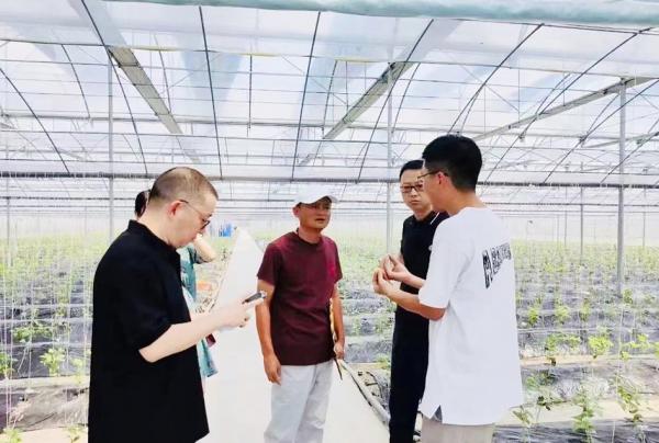 网络上热传的照片显示,马云头戴一顶白色小帽,身穿枣红色T恤及浅灰色休闲长裤,正在一个大型的蔬菜棚内四处查看,并与另外几名陪同他查看蔬菜大棚的员工交谈。