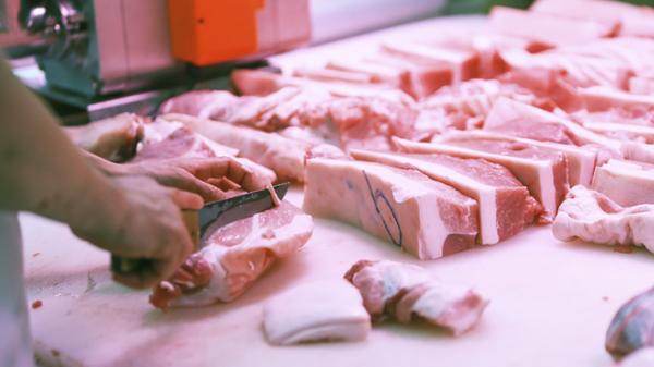 猪肉(STR/AFP via Getty Images)