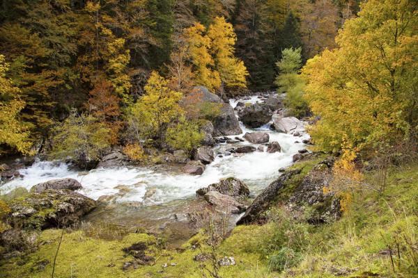 塞尔瓦德奥扎自然公园秋景（123RF）
