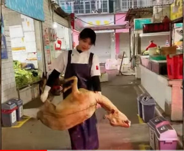 图片来源:视频截图