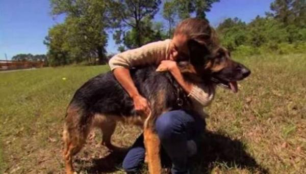 Shannon很感激Hero救了他一命。(视频截图)