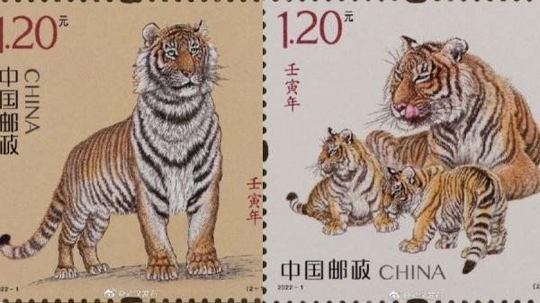 中国邮政“壬寅年”虎生肖邮票已于2022年1月5日发行。(图片来源:网络图片)