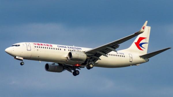 中国东方航空波音737客机(图片来源:N509FZ/Wikipedia/CC BY-SA 4.0)