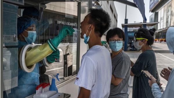 不断出现新注册的公司,却立即就能承接政府交予的检测任务。(图片来源:Getty Images)