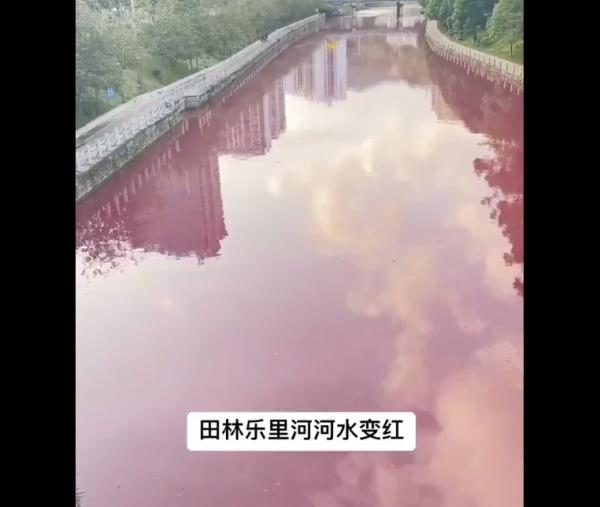 广西百色乐里河一夜变成红。(图片来源:视频截图)