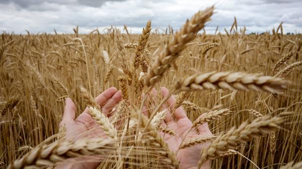 (KIRILL KUDRYAVTSEV/AFP via Getty Images)