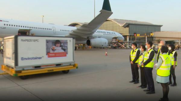 2021年2月19日,首批100万剂科兴疫苗由北京运抵香港,一些港府官员在机场停机坪“接机”。图片来源:视频截图香港政府新闻处视频截图)