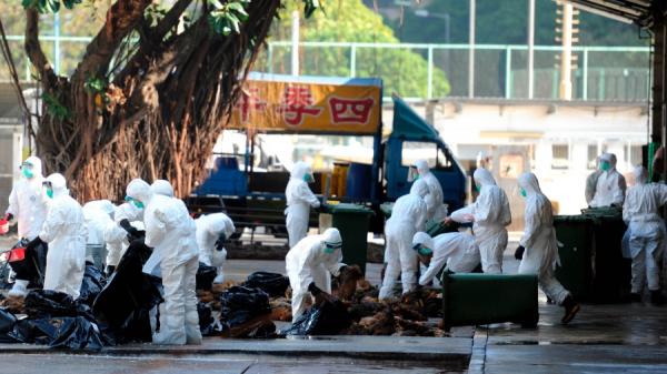 (图片来源:TPG/Getty Images)