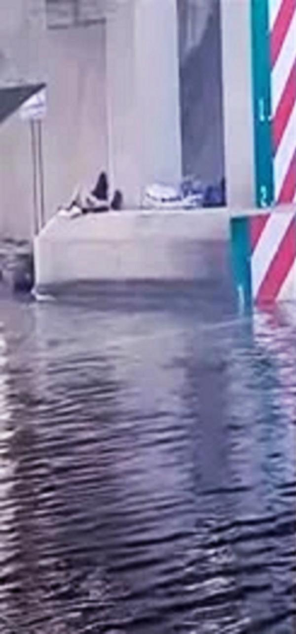 桥洞下的流浪者