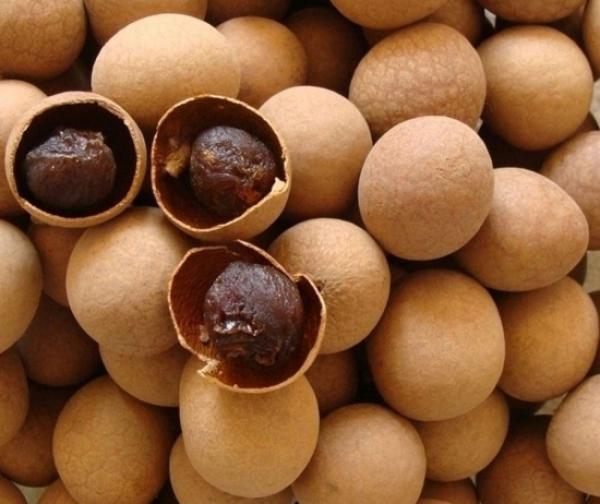 桂圆营养价值高,不同时间、不同吃法,功效又不同。(图片来源:网络截图)