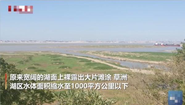 由于中国持续高温天气,多省相继传出陷入严重旱情。(图片来源:视频截图)