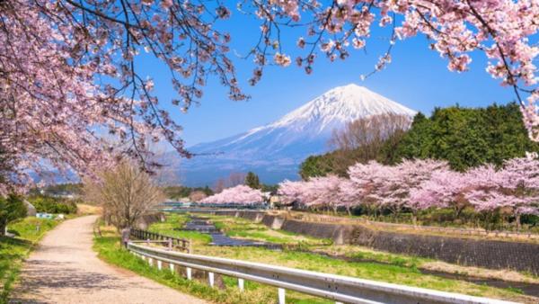 日本田园风光(Adobe Stock)