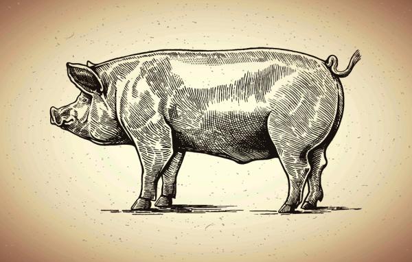 (整版图片来源:123RF)