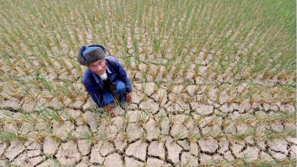 预计未来3天江西仍存在中度至重度气象干旱。示意图。(图片来源:Getty Images)