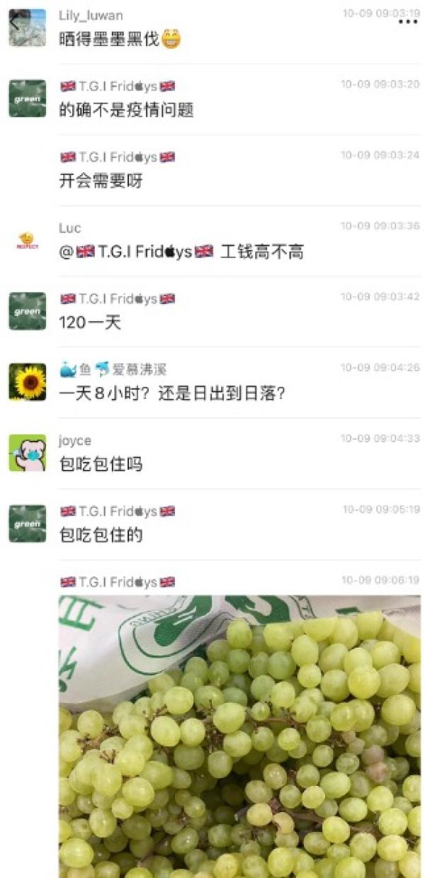 上海游客 “ 的确不是疫情问题,开会需要呀 ”。(图片来源:网路截图)