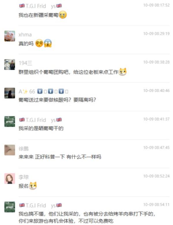 有人说 “ 我也在新疆采葡萄 ”。(图片来源:网路截图)