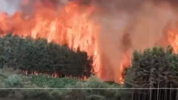 10月17日广西桂林兴安县发生大规模山火,有知情网友称,已烧了1天1夜,“从兴安烧至灵川,从灵川烧到全州”,不少网友怒称上不了热搜。(图片来源:视点截图)