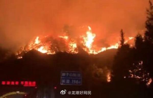 (图片来源:网络图片)