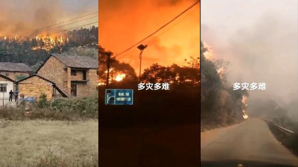 赣州、郴州、永州等南岭山脉一线地区发生连片森林大火,火势猛烈,几乎无法扑救。(图片来源:网络截图)
