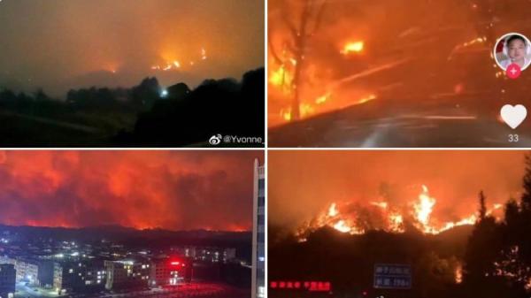 近日网传桂林、永州、赣州、永嘉等多地发生山火事件。(图片来源:网络截图)