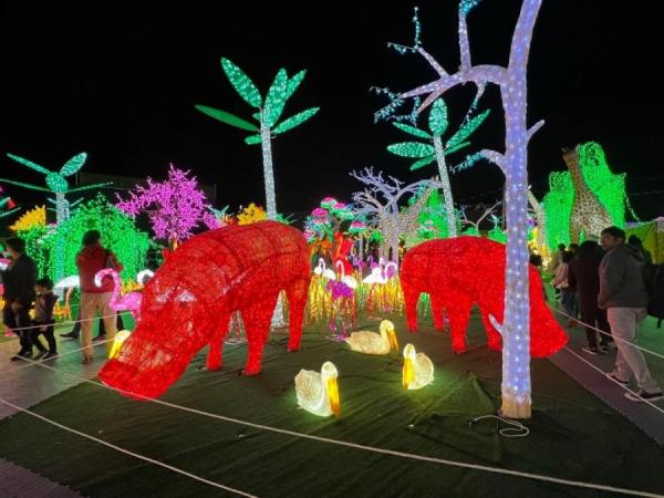 加拿大密西沙加举办世界最大灯展illumi。(图片来源:辛迪提供)