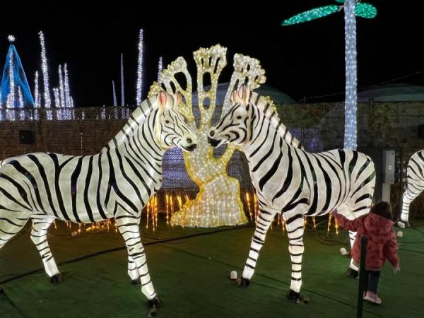 加拿大密西沙加举办世界最大灯展illumi。(图片来源:辛迪提供)