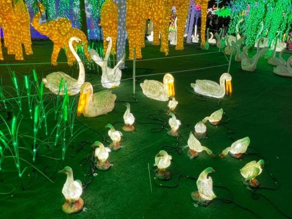 加拿大密西沙加举办世界最大灯展illumi。(图片来源:辛迪提供)