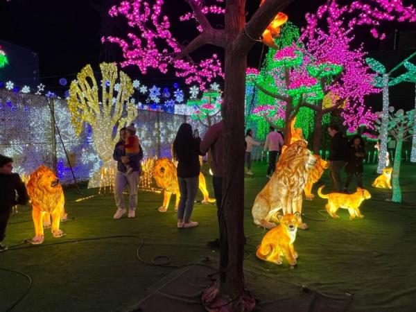 加拿大密西沙加举办世界最大灯展illumi。(图片来源:辛迪提供)