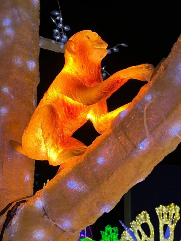 加拿大密西沙加举办世界最大灯展illumi。(图片来源:辛迪提供)