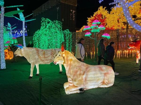 加拿大密西沙加举办世界最大灯展illumi。(图片来源:辛迪提供)