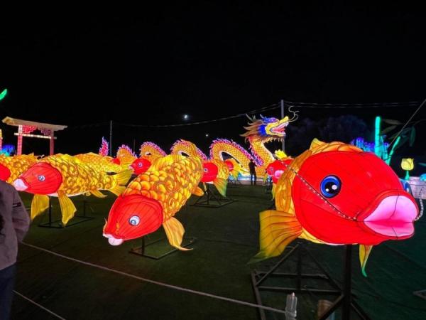 加拿大密西沙加举办世界最大灯展illumi。(图片来源:辛迪提供)