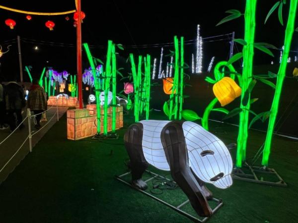 加拿大密西沙加举办世界最大灯展illumi。(图片来源:辛迪提供)