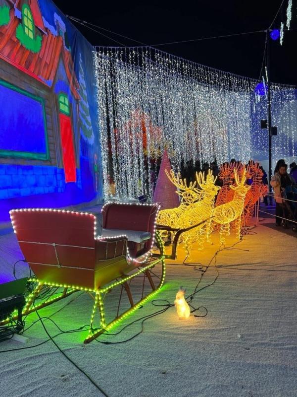 加拿大密西沙加举办世界最大灯展illumi。(图片来源:辛迪提供)
