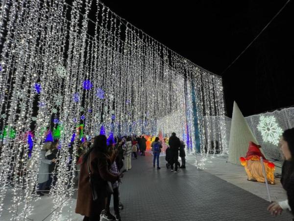 加拿大密西沙加举办世界最大灯展illumi。(图片来源:辛迪提供)