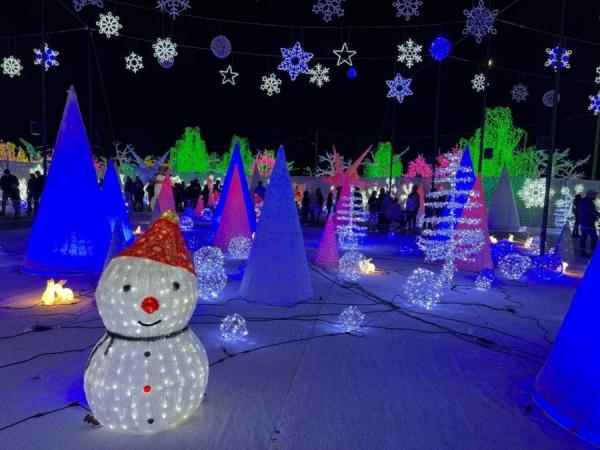 加拿大密西沙加举办世界最大灯展illumi。(图片来源:辛迪提供)