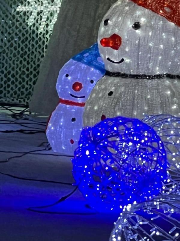 加拿大密西沙加举办世界最大灯展illumi。(图片来源:辛迪提供)