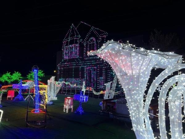 加拿大密西沙加举办世界最大灯展illumi。(图片来源:辛迪提供)