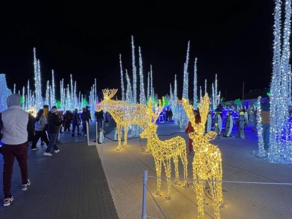 加拿大密西沙加举办世界最大灯展illumi。(图片来源:辛迪提供)