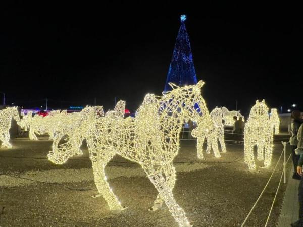 加拿大密西沙加举办世界最大灯展illumi。(图片来源:辛迪提供)