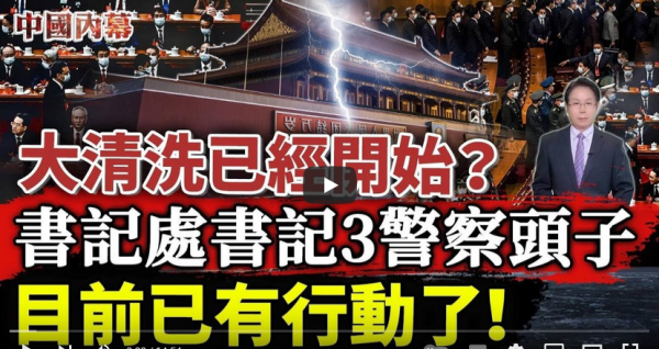 (图片来源:视频截图)