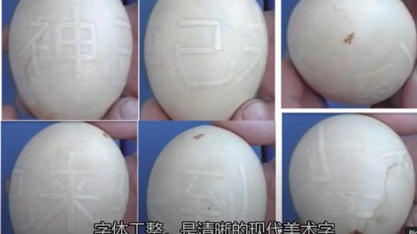 当地电视台找来农大教授监别此蛋,最后肯定此蛋不是人工所为。(图片来源:视频截图)