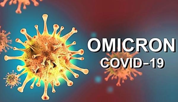 大陆发现奥密克戎(Omicron)新变异毒株。(图片来源:翻拍)