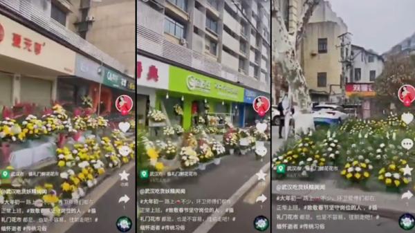 中国大年三十，武汉街头摆满菊花。