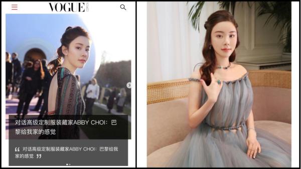 分析认为蔡天凤被包装成名媛,背后另有目的。(图片来源:看中国合成)